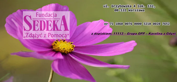11113 Karolina z Gdyni